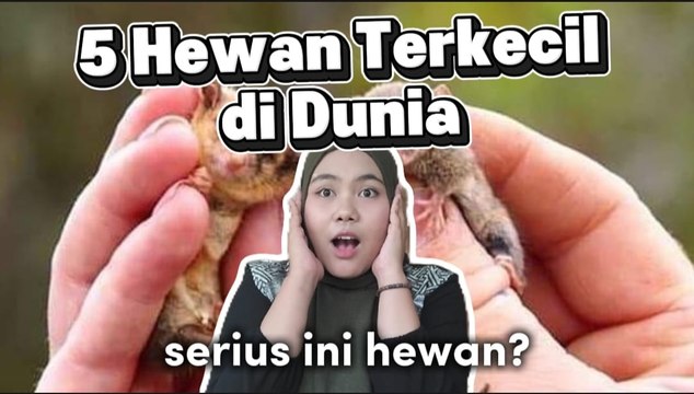 Ini 5 Hewan Terkecil di Dunia yang Ukurannya Bikin Takjub, Serius Ini Hewan?