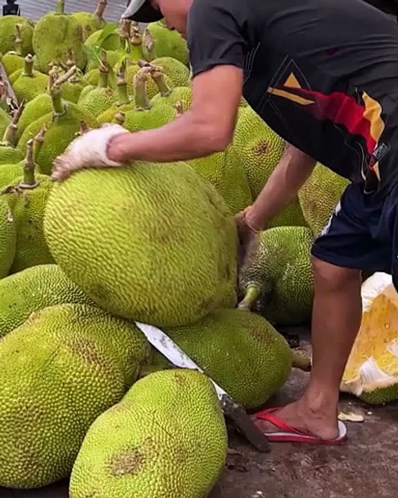 All you need to know about Jackfruit!
