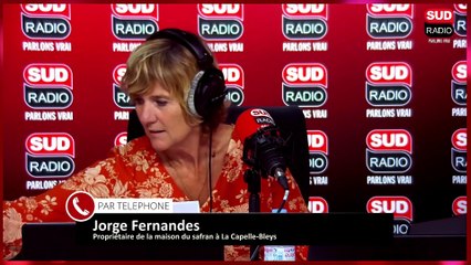 La Maison du Safran : Or Rouge au Cœur de l’Aveyron