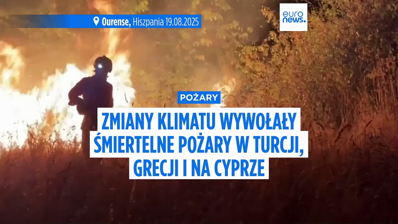 Zmiany klimatu zintensyfikowały pogodę, która podsyciła śmiertelne pożary w Turcji, Grecji i na Cyprze