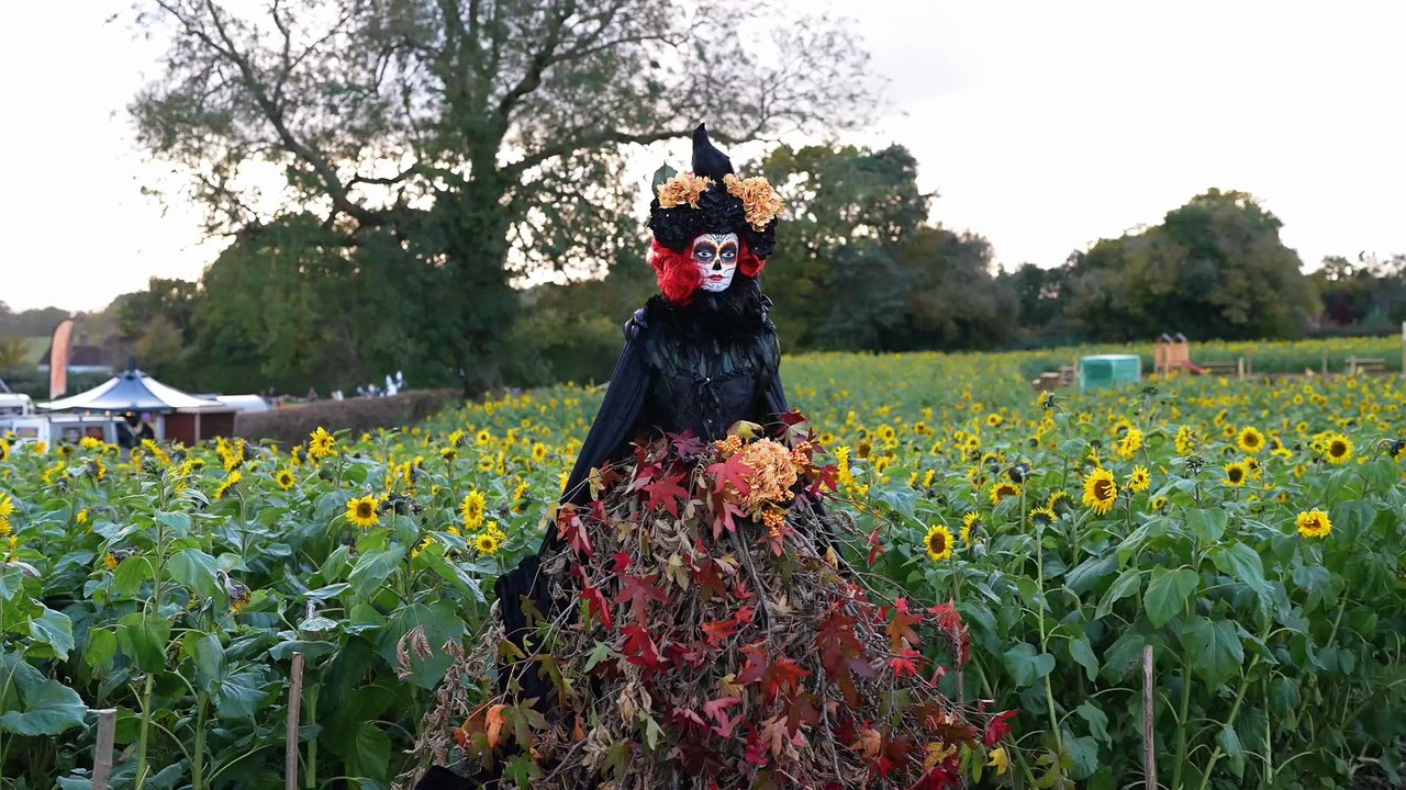 Rogate Pumpkin Patch highlights