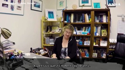 Cosa si dicono i delfini? L'AI di Google ci aiuta a capirli