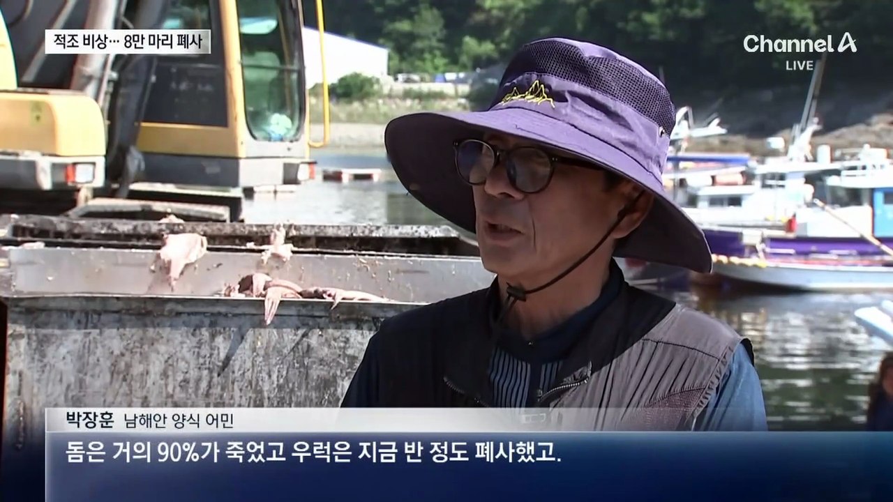 폭염 가니 적조에 몸살…물고기 떼죽음
