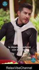 [HOT] Accidentalmente embarazada del Alfa Película Completa en Español - Shortfilms