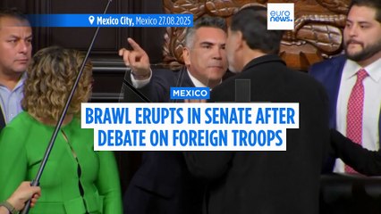 WATCH: Fight erupts in Mexico's senate as politicians shove each other
