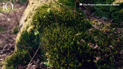 Kate Middleton tra gli scout: «La natura, il mio rifugio spirituale nei momenti difficili»