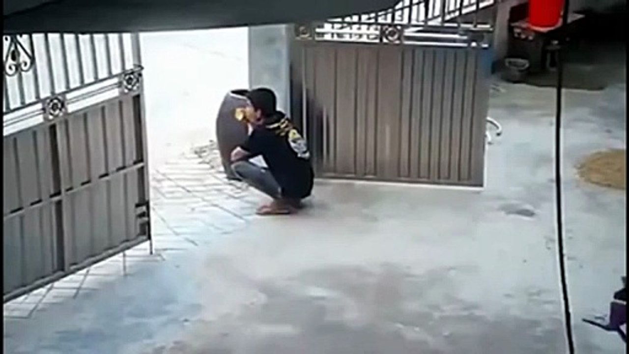 Son chien lui apporte une chaise... trop mignon