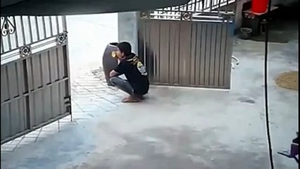 Son chien lui apporte une chaise... trop mignon