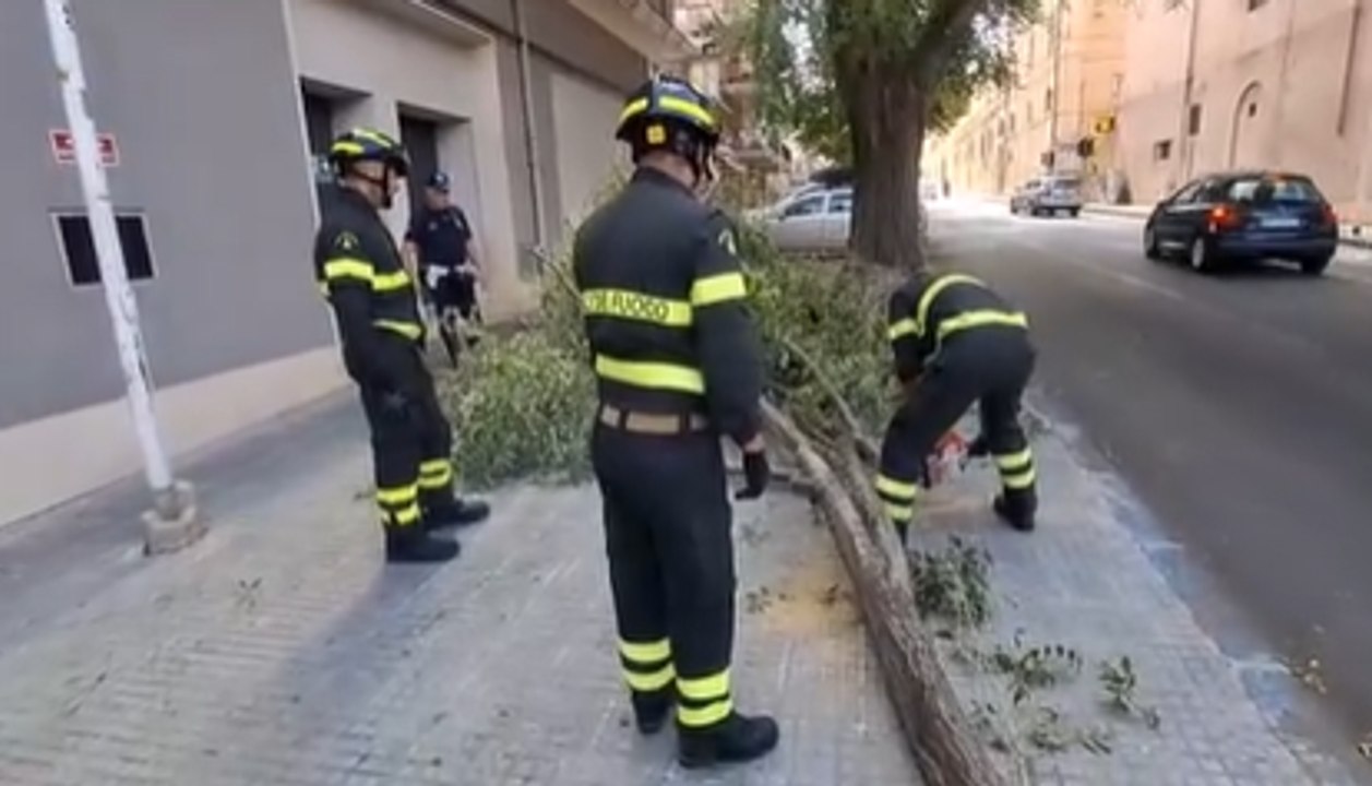 Paura in viale Umberto a Sassari: un grosso ramo cade sulla strada, sfiorata un'automobile