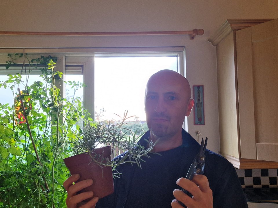 Free plants by propagation from cuttings and slips