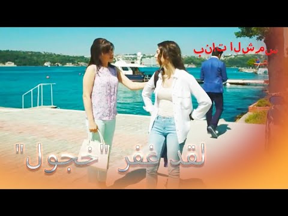 لقد غفرت الشمس "الخجول" بنات الشمس الجزء 3