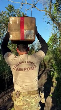 Apreensão no Parque da Ilha Grande resulta em R$ 20 mil em cigarros eletrônicos recolhidos