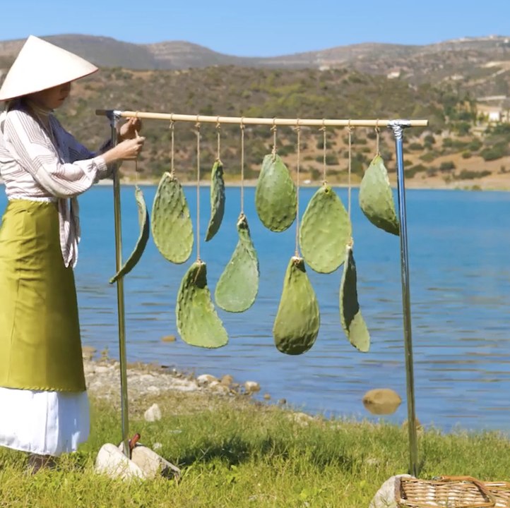 DIY Vegan Leather from Prickly Plants—Step by Step! 🧪🌱