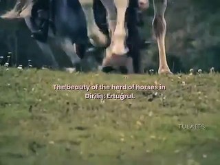 All Historical Dramas in World History 🌍