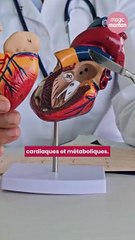 Les écrans augmentent le risque cardiaque chez les enfants