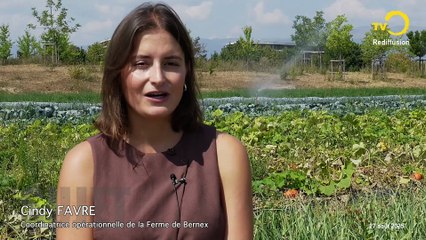 Rediffusion: semaine du 25 août 2025