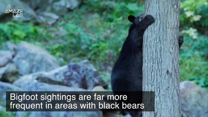 Science Might Have Just Revealed That Bigfoot Is Legit