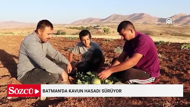 Tüccarlar sıraya girdi: Herkesi kendine hayran bırakan kavun 20 TL’den satılıyor