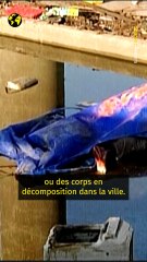 Vingt ans après Katrina, La Nouvelle-Orléans toujours marquée par l’ouragan