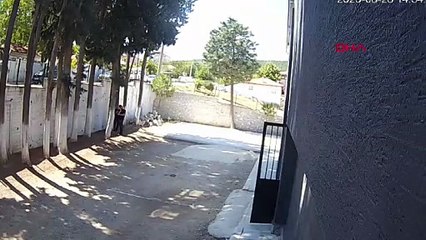 8Belediye başkanı, zabıta memurlarını sopayla darbetti; o anlar kamerada