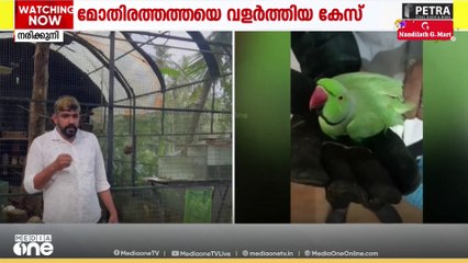 'കെണി വച്ച് പിടിച്ചതല്ല, രക്ഷിച്ചതാണ്'; കോഴിക്കോട്ട് മോതിര തത്തയെ വളർത്തിയതിന് കേസെടുത്തതിൽ യുവാവ്