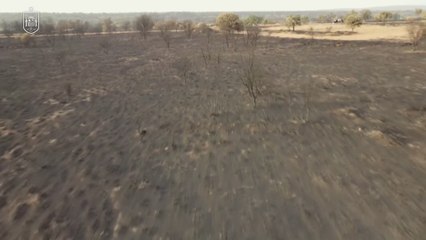 La Selección homenajea a los bomberos y voluntarios que luchan contra los incendios