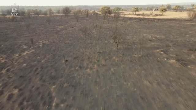 La Selección homenajea a los bomberos y voluntarios que luchan contra los incendios