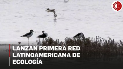Lanzan primera Red Latinoamericana de Ecología