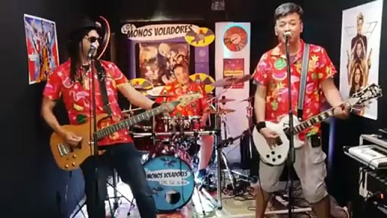 🙉🙊🙈Me llamas José Luis Perales cover rock by @LosMonosVoladoresdelSrBurns 🦄