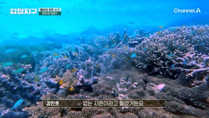 예상치 못한 순간, 드디어 눈 앞에 나타난 만타?! 거대한 자태에 압도되는 강철 여행자들!