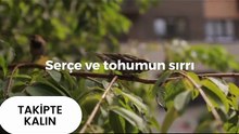 Hz Yusuf UN Hikayesi