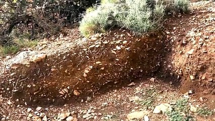 Al Circeo la più antica necropoli preistorica del Lazio. Il racconto dell'archeologo