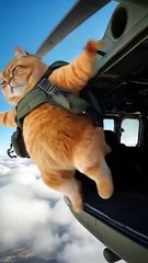 Mastering AI Video Creation: Step-by-Step Guide