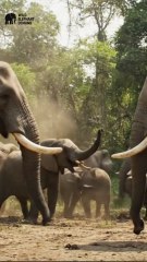 Wait Until The End! 😱 2#P1