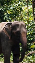 This Changed Everything... 🔄 2#P6