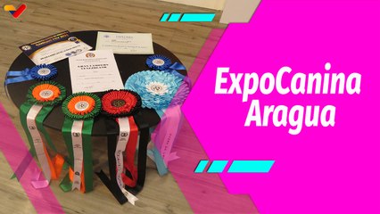 Buena Vibra | ExpoCanina Aragua 2025