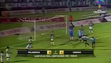 En 1995 Palmeiras y Gremio se enfrentaron en los cuartos de final de la Libertadores