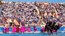 paseillo bayona