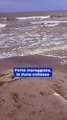 Forte mareggiata, la duna collassa: il video