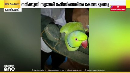 മോതിര തത്തയെ പിടിച്ചുവളർത്തിയെന്നാരോപിച്ച് കേസ്; പരിക്കേറ്റ തത്തയെ രക്ഷിച്ചതാണെന്ന് യുവാവ്
