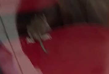 Rat spotted in Pepe’s Piri Piri in Chesterfield, Derbyshire