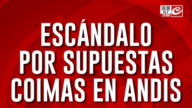 Escándalo por supuestas coimas en ANDIS: buscan documentos ordenado por el juez