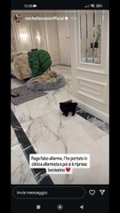 michellecomi si e' ripreso il cagnolino
