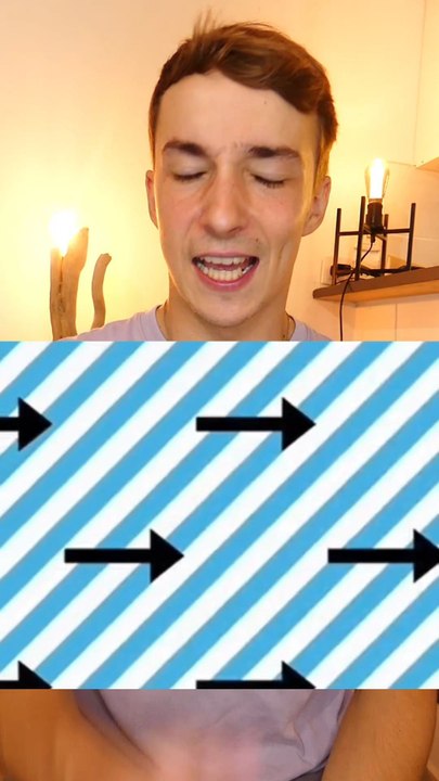 Illusion flèches