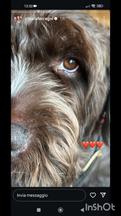 chiara Ferragni story del suo brand