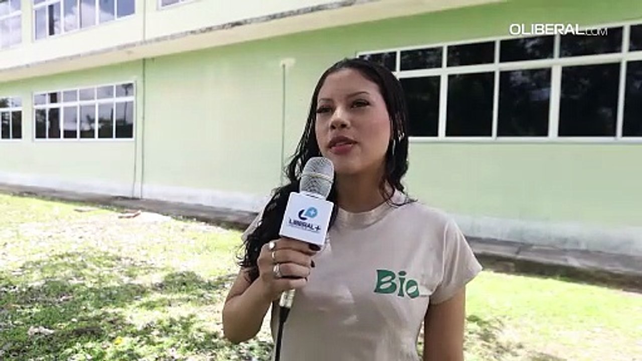 Trabalho: Maioria dos jovens brasileiros prefere área de Humanas a Exatas, revela pesquisa