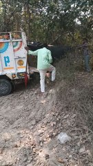 😢😭😭🥺🥹meri bhais bech di gayi 🥺🥺🥺