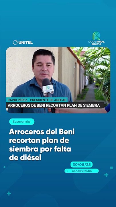 Arroceros del Beni recortan plan de siembra por falta de diésel