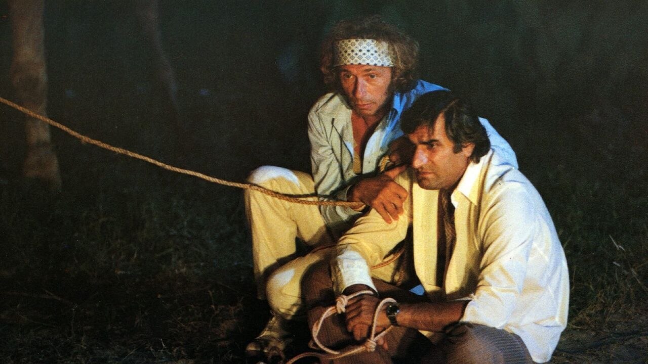 C'est pas moi, c'est lui