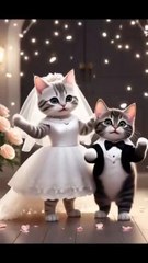 . “Looks like playtime… but wait till the end 🐾🎭”#Viral, #FYP, #Trending, #CuteCats, #KittenLove, #CatTok, #MeowTok, #CatLovers, #MysteryVibes, #PetTok, #FunnyCats, #CatContent, #SuspenseCat, #ViralKitten, #CatsOfTikTok